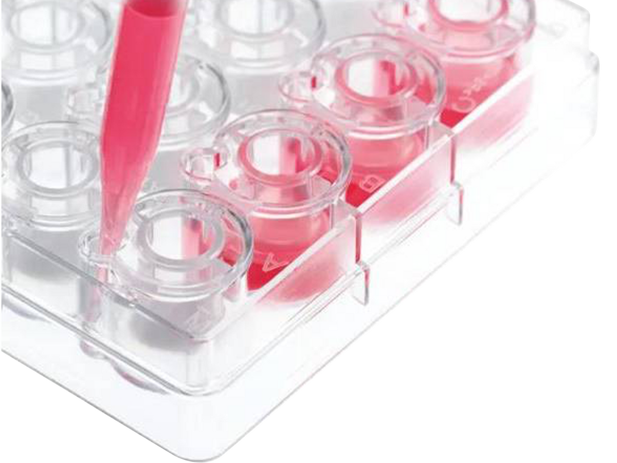 BrandTech Insert Strips, Smooth-Wall, PC-Membrane, Strips of 4, for 24/6-Well BRANDplates®, BIO-CERT® CELL CULTURE QUALITY, Sterile - MSE Supplies LLC
