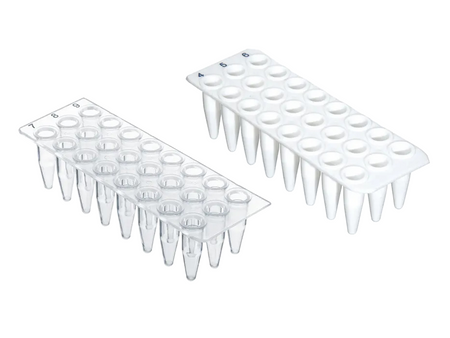 BrandTech PCR Plate 24-Well, PP, 0.2 ml, Without Skirt, BIO-CERT® PCR QUALITY, PCR Products, BrandTech, MSE Supplies