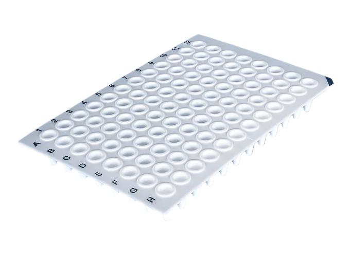 BrandTech PCR Plate 96-Well, PP, BIO-CERT® PCR QUALITY - MSE Supplies LLC