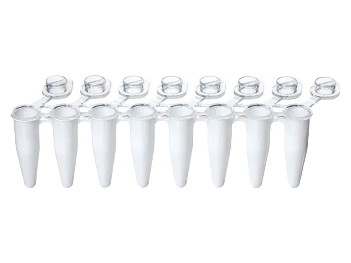 BrandTech PCR Strips, PP, BIO-CERT® PCR QUALITY, PCR Products, BrandTech, MSE Supplies