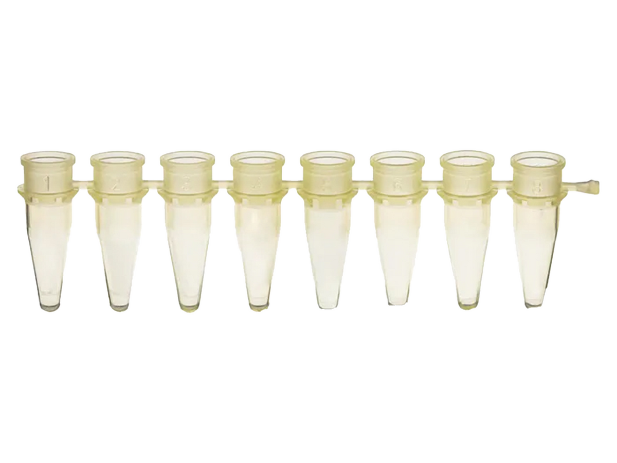 BrandTech PCR Strips, PP, BIO-CERT® PCR QUALITY, PCR Products, BrandTech, MSE Supplies