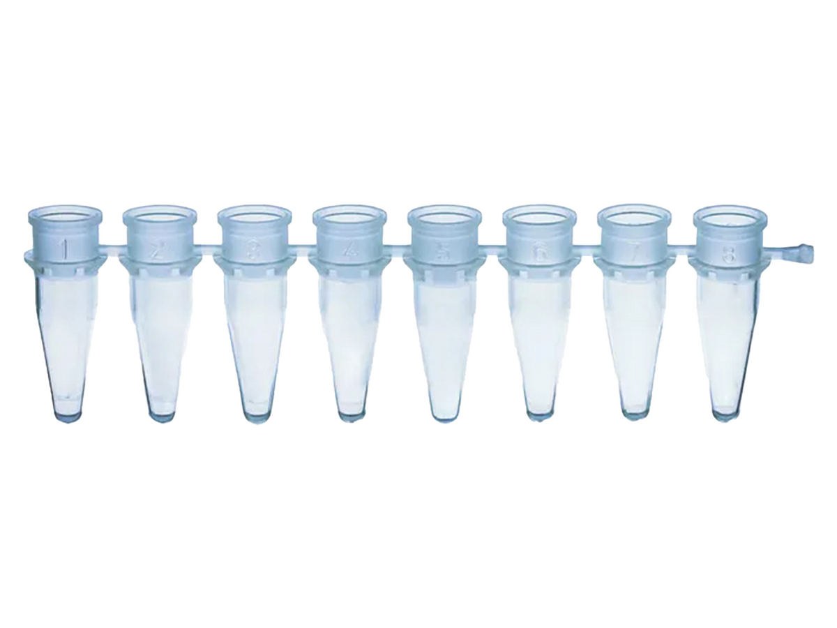 BrandTech PCR Strips, PP, BIO-CERT® PCR QUALITY, PCR Products, BrandTech, MSE Supplies