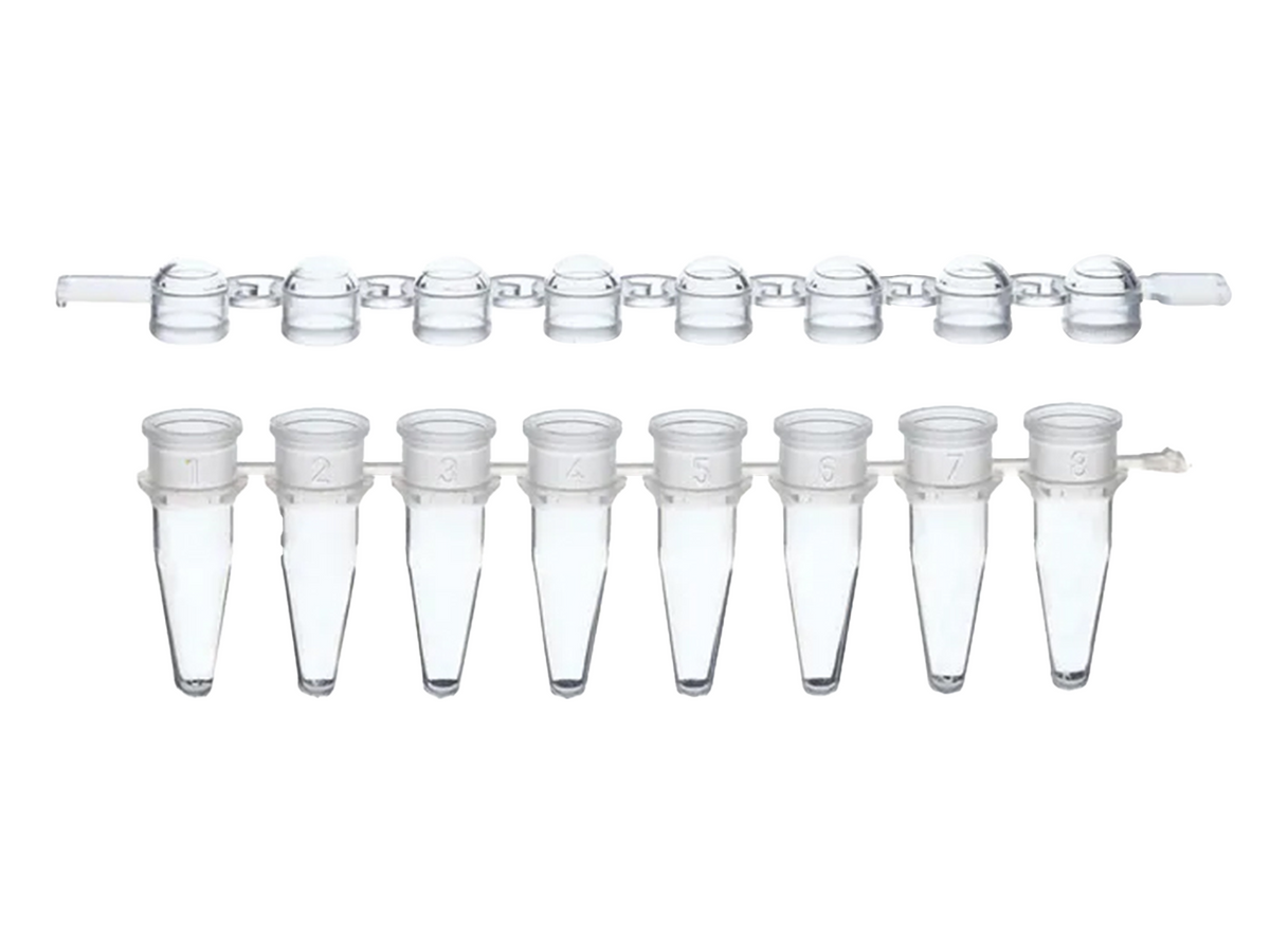 BrandTech PCR Strips, PP, BIO-CERT® PCR QUALITY, PCR Products, BrandTech, MSE Supplies