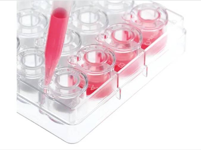 BrandTech  Single Inserts, Smooth-Wall, 13 mm, PC-Membrane, BIO-CERT® CELL CULTURE QUALITY, Sterile