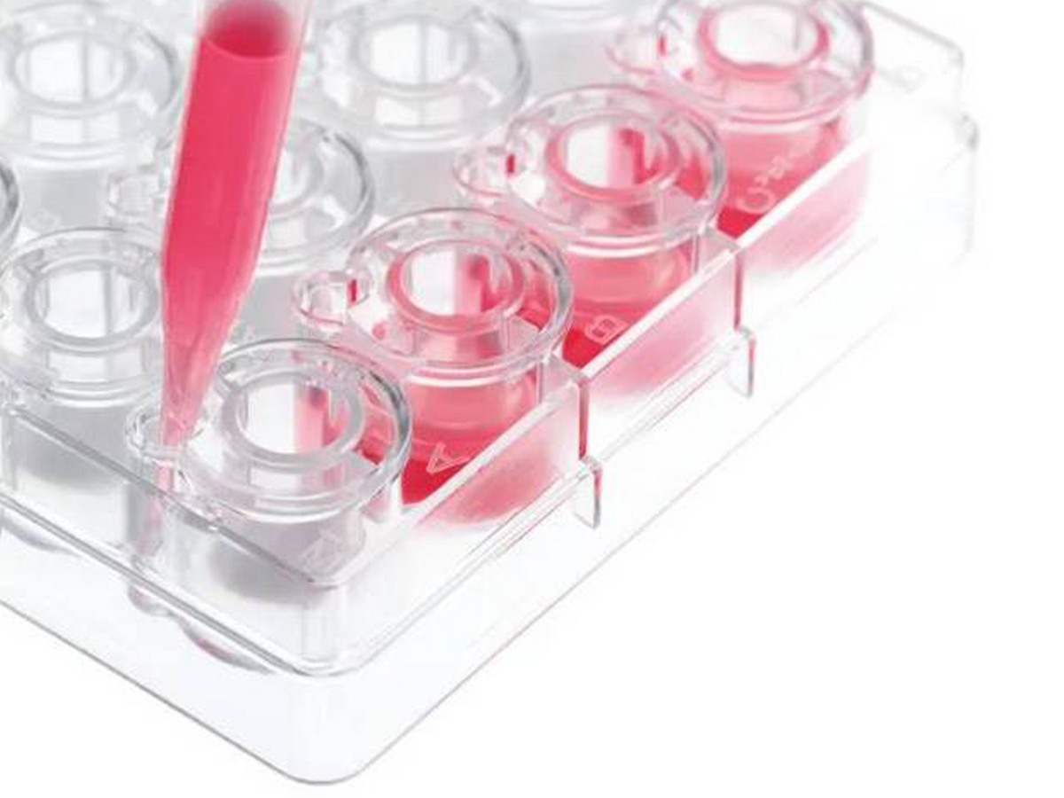 BrandTech Single Inserts, Smooth-Wall, 13 mm, PET-Membrane, BIO-CERT® CELL CULTURE QUALITY, Sterile, Bio Lab Consumables, BrandTech, MSE Supplies