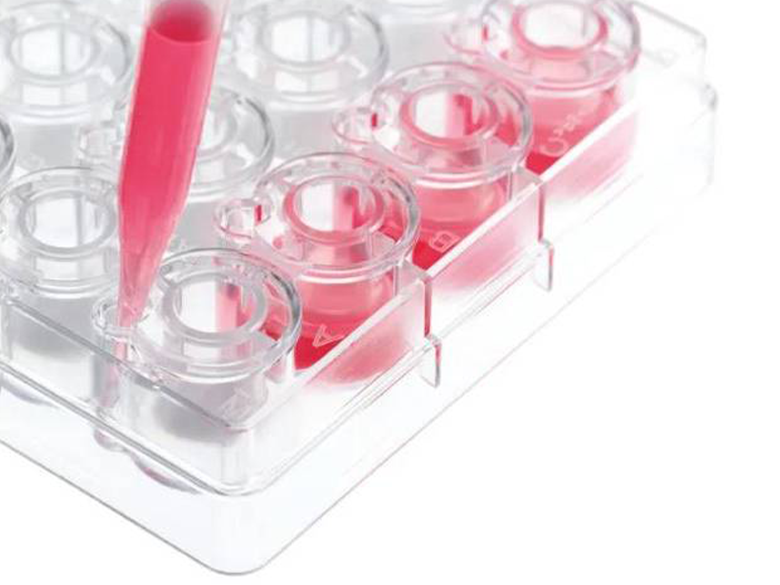 BrandTech Single Inserts, Smooth-Wall, 13 mm, PET-Membrane, BIO-CERT® CELL CULTURE QUALITY, Sterile, Bio Lab Consumables, BrandTech, MSE Supplies