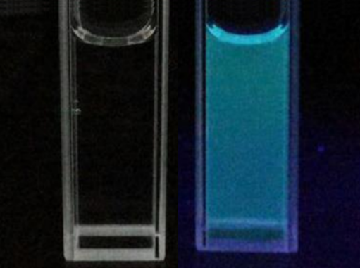 MSE PRO Carboxyl Graphene Quantum Dots Solution, 1mg/mL, Chemicals and Compounds, MSE Supplies LLC, MSE Supplies