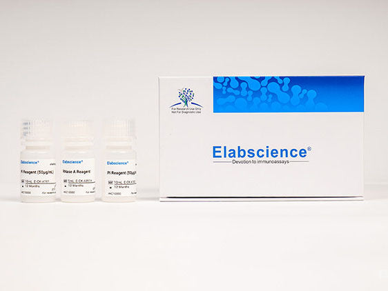 Cell Cycle Assay Kit (Green Fluorescence), Cell Assays, Elabscience Biotechnology, MSE Supplies