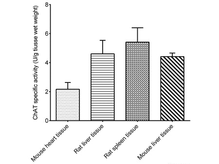 Choline Acetyltransferase (ChAT) Activity Assay Kit (Tissue Samples), Cell Assays, Elabscience Biotechnology, MSE Supplies