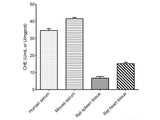 Cholinesterase (CHE) Activity Assay Kit, Cell Assays, Elabscience Biotechnology, MSE Supplies