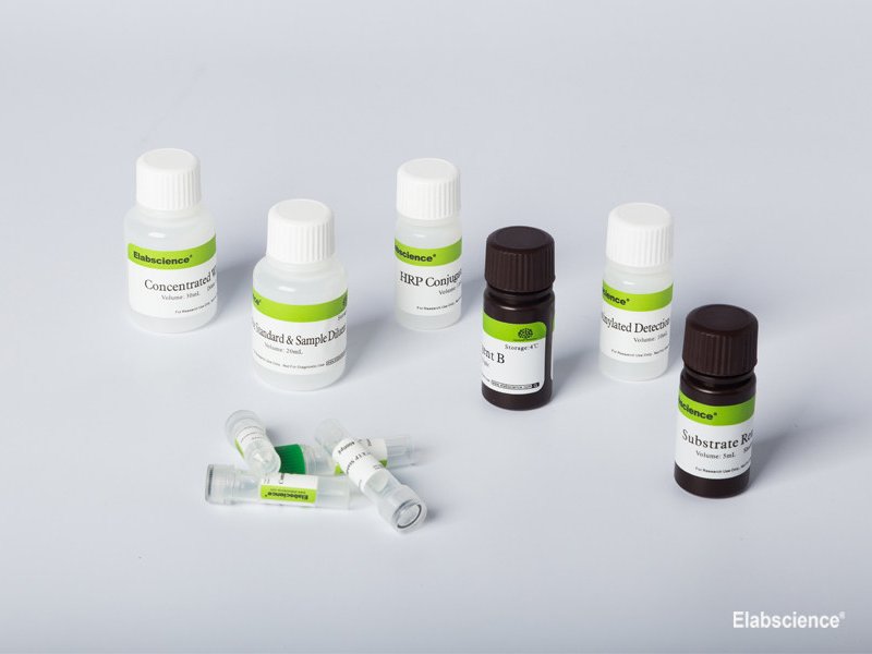 Mouse VEGF-C (Vascular Endothelial Cell Growth Factor C) CLIA Kit, Cell Assays, Elabscience Biotechnology, MSE Supplies