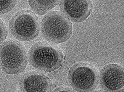 MSE PRO COOH Modified Upconverting Nanoparticles Water Solution, 10mg/bottle, Chemicals and Compounds, MSE Supplies LLC, MSE Supplies