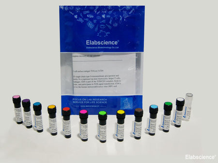 Cross-linked APC, Cell Assays, Elabscience Biotechnology, MSE Supplies