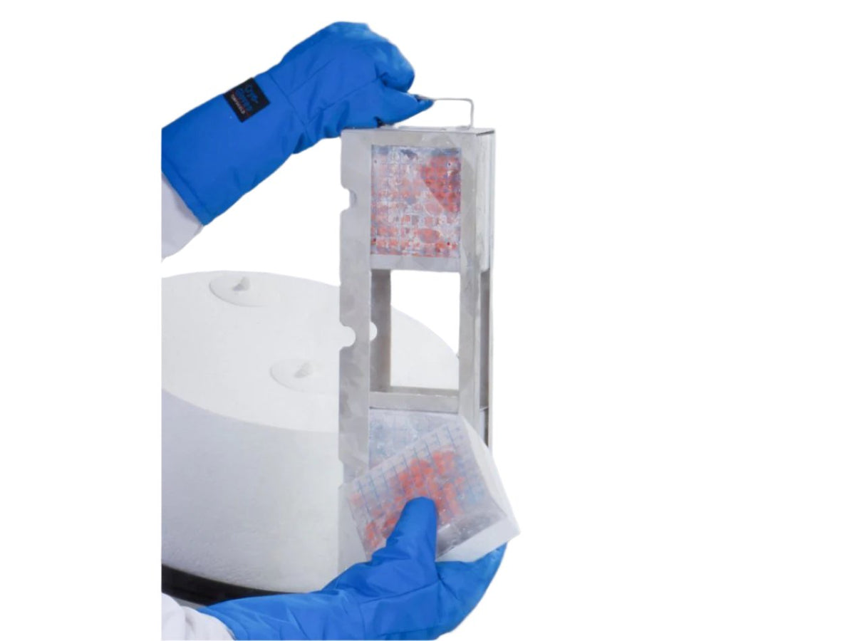 Antech 13L W Series, Wide-Neck Cryogenic Freezer, Cryogenic Storage, Antech, MSE Supplies