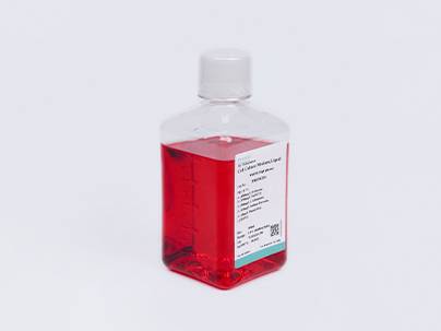DMEM/F12
