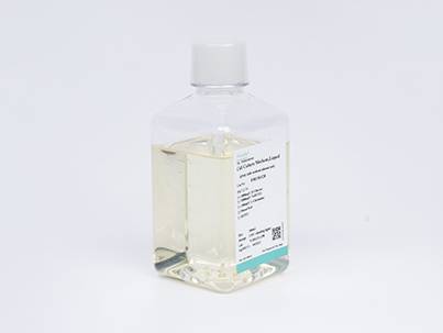 DMEM (Glucose Free) (with L- alanyl -L-glutamine, without Phenol Red)