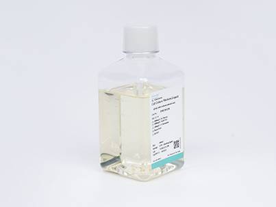 DMEM (Low Glucose) (with L- alanyl -L-glutamine, without Sodium Pyruvate,  Phenol Red)