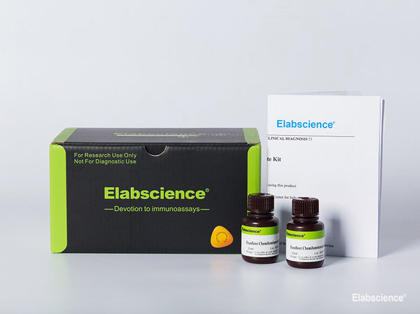 Excellent Chemiluminescent Substrate (ECL) Kit, 250mL | Elabscience ...
