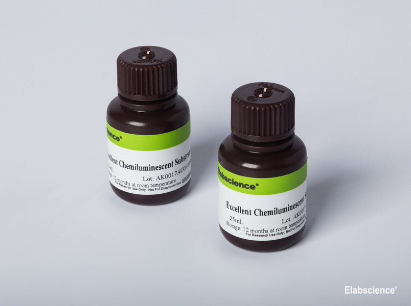 Excellent Chemiluminescent Substrate (ECL) Kit, 250mL, Cell Assays, Elabscience Biotechnology, MSE Supplies