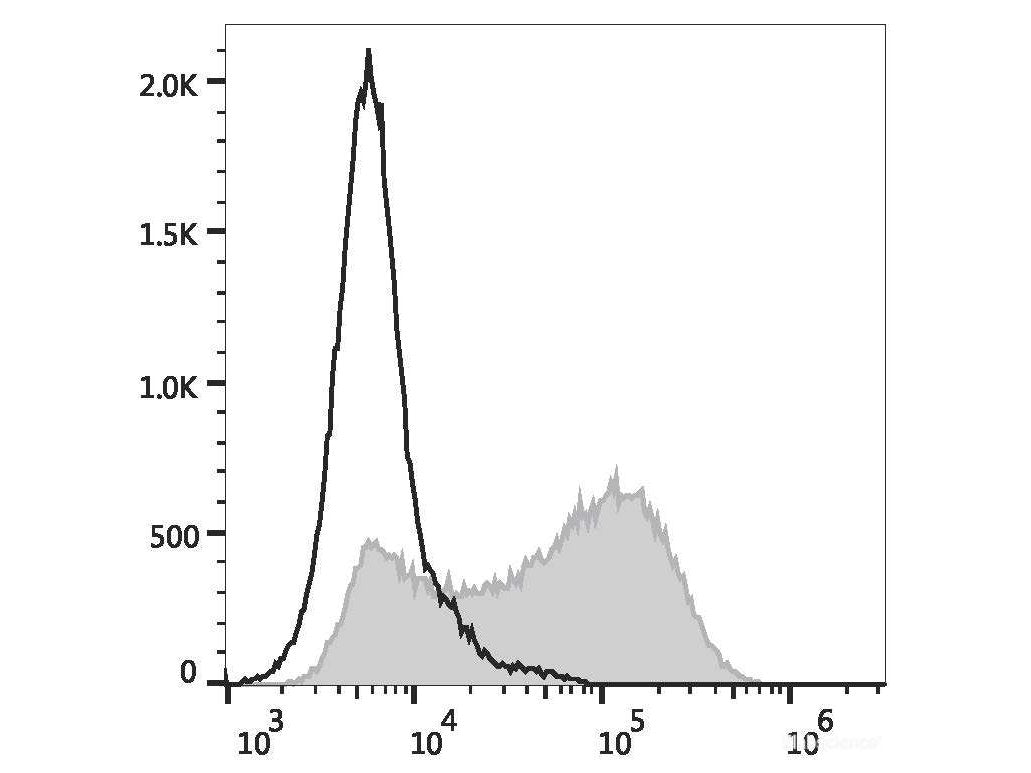 Elab Fluor® 488 Anti-Human CD34 Antibody[4H11], Biomarkers, Elabscience Biotechnology, MSE Supplies