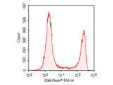Elab Fluor® 555-11-dUTP, Cell Assays, Elabscience Biotechnology, MSE Supplies