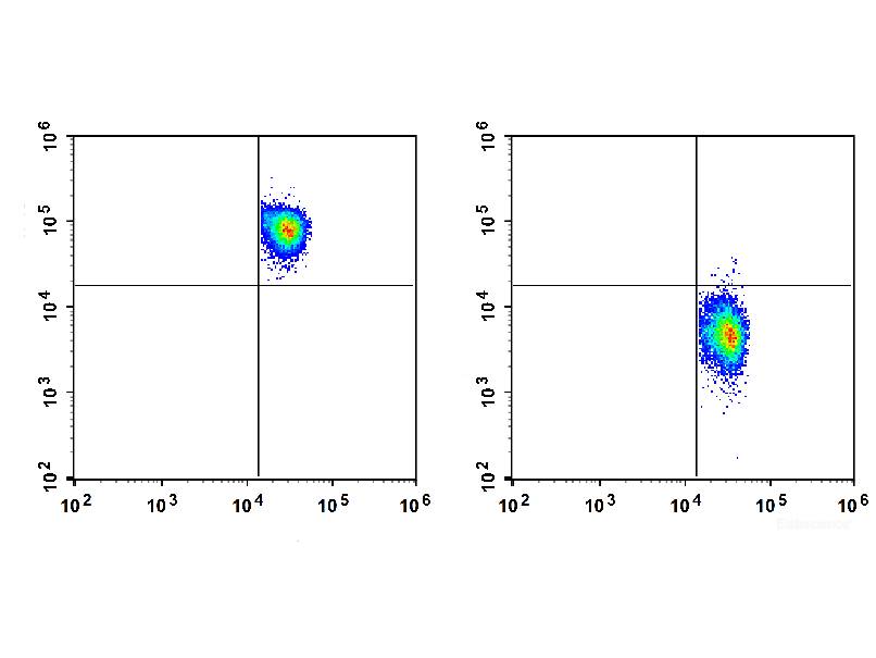 Elab Fluor® 647 Anti-Human CD68 Antibody[Y1/82A], Biomarkers, Elabscience Biotechnology, MSE Supplies