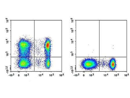 Elab Fluor® Violet 450 Anti-Human CD62L Antibody[HI62L], Biomarkers, Elabscience Biotechnology, MSE Supplies