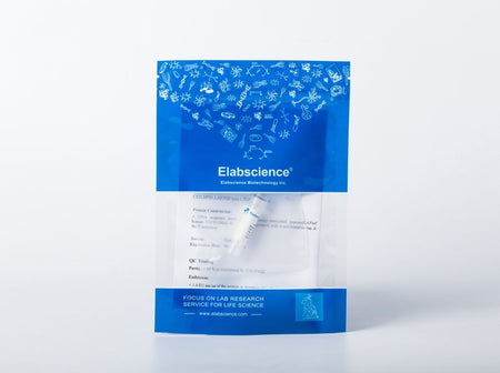 Recombinant Human IL-23 p19 protein(N-His)(active)