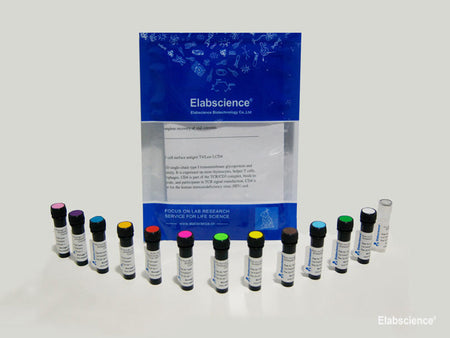 PE Rat IgG2a, κ Isotype Control[2A3], Biomarkers, Elabscience Biotechnology, MSE Supplies