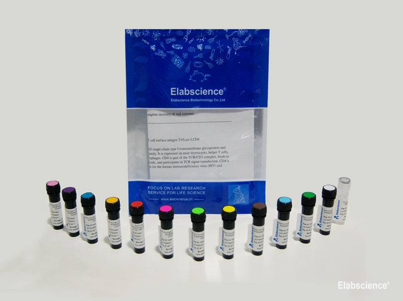 PE/Elab Fluor® 594 Anti-Human CD25 Antibody[BC96], Biomarkers, Elabscience Biotechnology, MSE Supplies