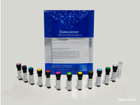 PE/Elab Fluor® 594 Rat IgG2a, κ Isotype Control[RTK2758], Biomarkers, Elabscience Biotechnology, MSE Supplies