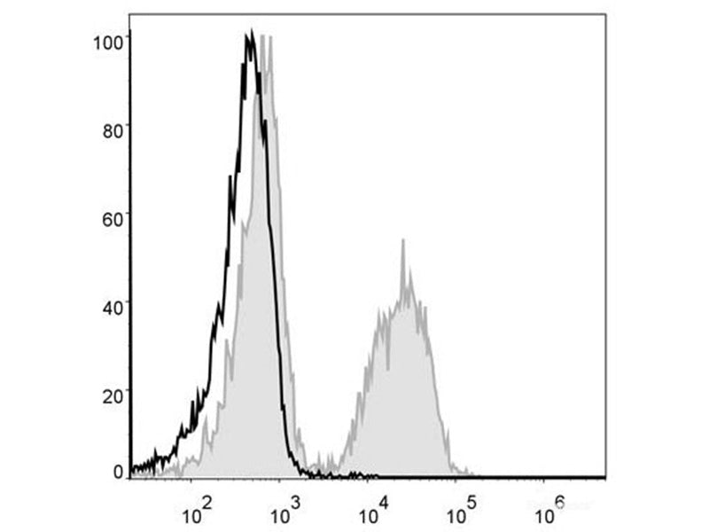 PE Anti-Mouse CD19 Antibody[1D3], Biomarkers, Elabscience Biotechnology, MSE Supplies