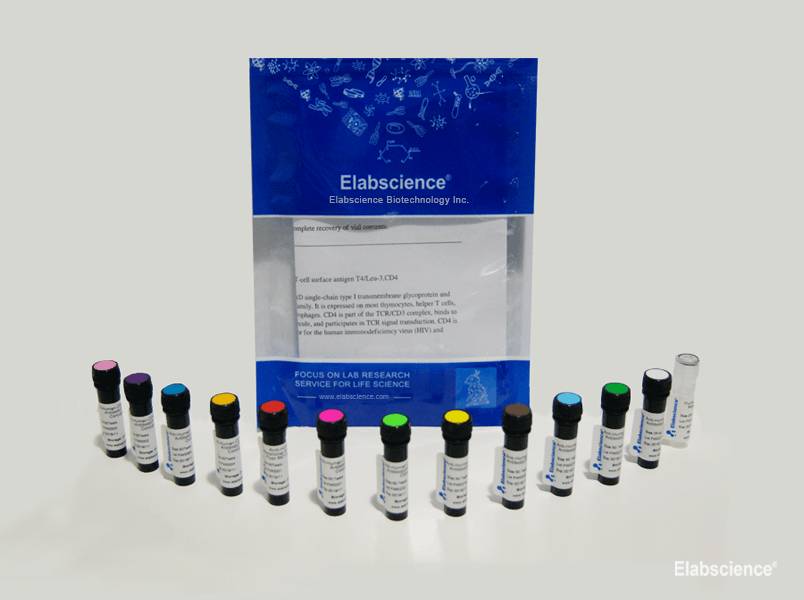 PE/Cyanine7 Anti-Human CD25 Antibody[BC96], Biomarkers, Elabscience Biotechnology, MSE Supplies