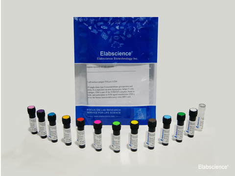 PE/Elab Fluor® 594 Rat IgG2a, κ Isotype Control[RTK2758], Biomarkers, Elabscience Biotechnology, MSE Supplies