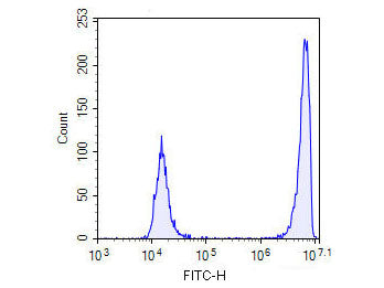 FITC-11-dUTP, Cell Assays, Elabscience Biotechnology, MSE Supplies