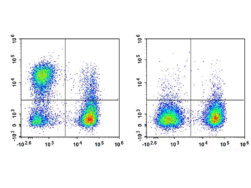 PerCP/Cyanine5.5 Anti-Human CD163 Antibody[GHI/61], Biomarkers, Elabscience Biotechnology, MSE Supplies