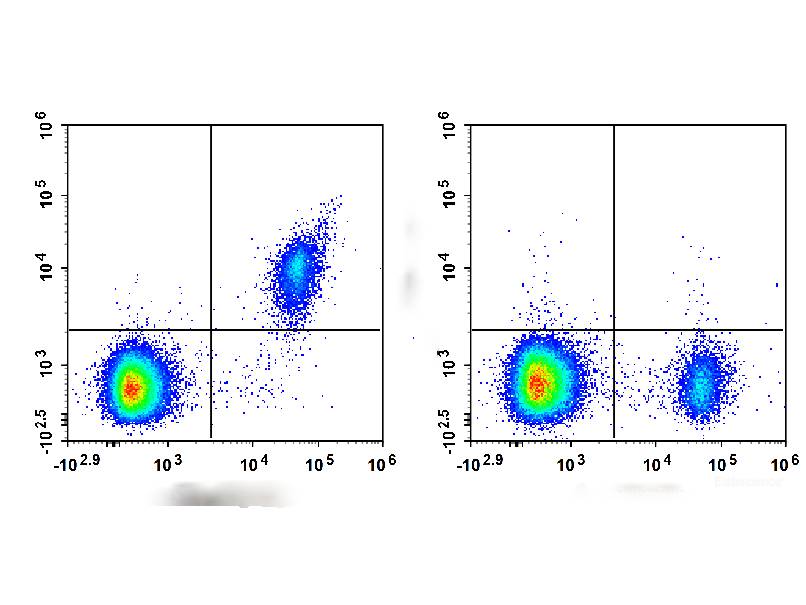 APC Anti-Human CD62L Antibody[HI62L], Biomarkers, Elabscience Biotechnology, MSE Supplies