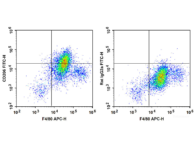 FITC Anti-Mouse CD206/MMR Antibody[C068C2], Biomarkers, Elabscience Biotechnology, MSE Supplies
