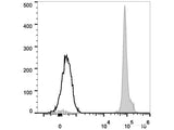 FITC Anti-Mouse CD45.2 Antibody[104.2], Biomarkers, Elabscience Biotechnology, MSE Supplies