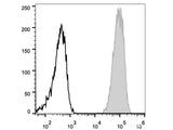 FITC Anti-Mouse CD45 Antibody[30-F11], Biomarkers, Elabscience Biotechnology, MSE Supplies