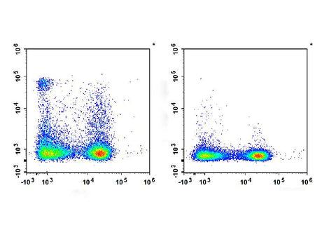APC Anti-Rat CD161 Antibody[3.2.3], Biomarkers, Elabscience Biotechnology, MSE Supplies