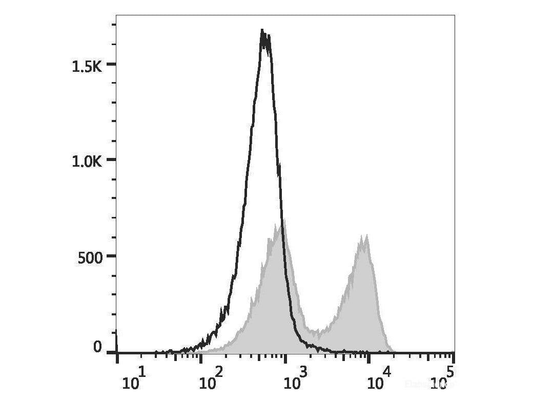 APC Anti-Rat CD45RA Antibody[OX-33], Biomarkers, Elabscience Biotechnology, MSE Supplies