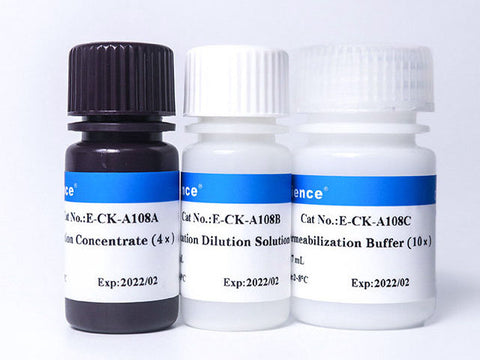 Foxp3/Transcription Factor Staining Kit, Cell Assays, Elabscience Biotechnology, MSE Supplies