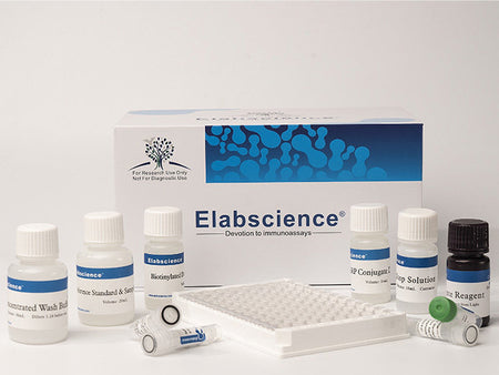 fT4(Free Thyroxine) ELISA Kit, Cell Assays, Elabscience Biotechnology, MSE Supplies