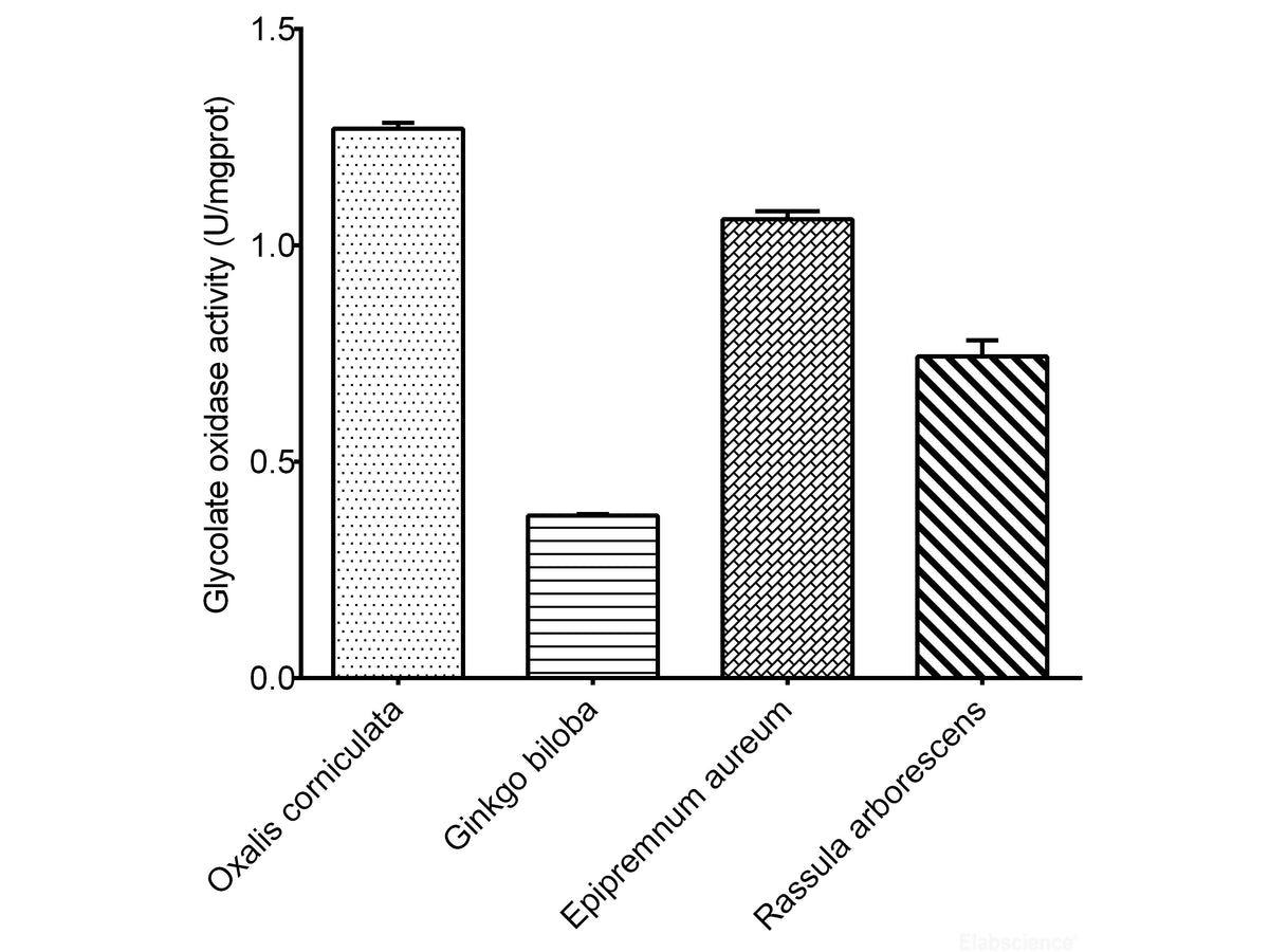 Glycolate Oxidase Activity Assay Kit, Cell Assays, Elabscience Biotechnology, MSE Supplies