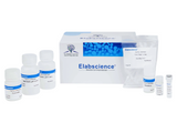 GST pull-downn Kit（Agarose）, Biomarkers, Elabscience Biotechnology, MSE Supplies
