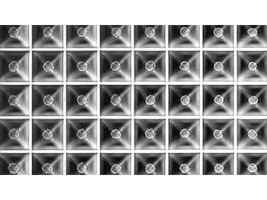 Heidolph Sphericalplate 5D - 24 Well, Bio Lab Consumables, Heidolph North America, MSE Supplies
