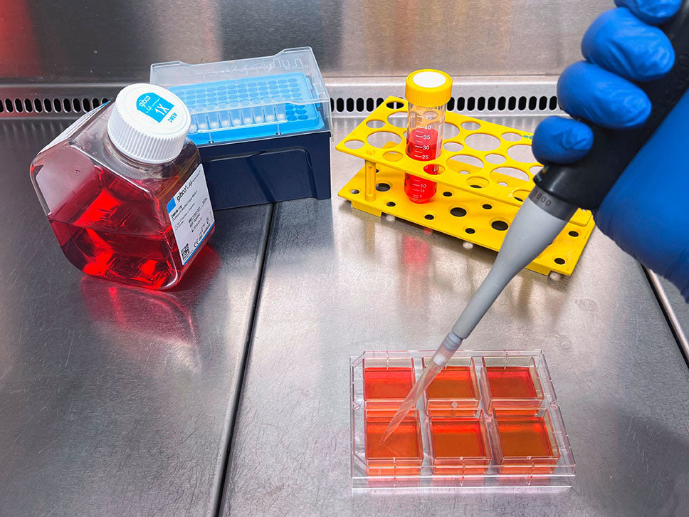 Heidolph Sphericalplate 5D - 6 Well, Bio Lab Consumables, Heidolph North America, MSE Supplies