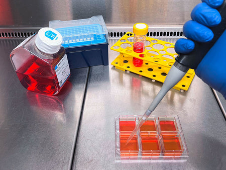 Heidolph Sphericalplate 5D - 6 Well, Bio Lab Consumables, Heidolph North America, MSE Supplies