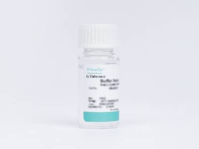 HT Solution (50×)
